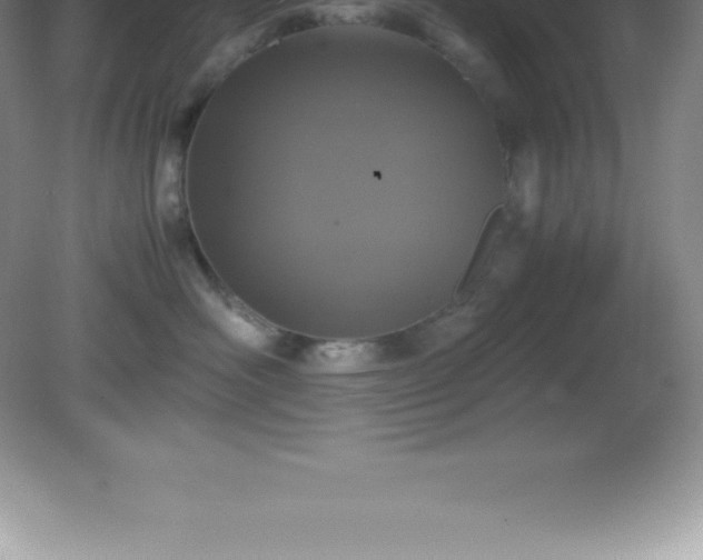 X0000081330526200701181957