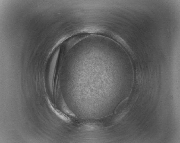 X0000081330530200701181957
