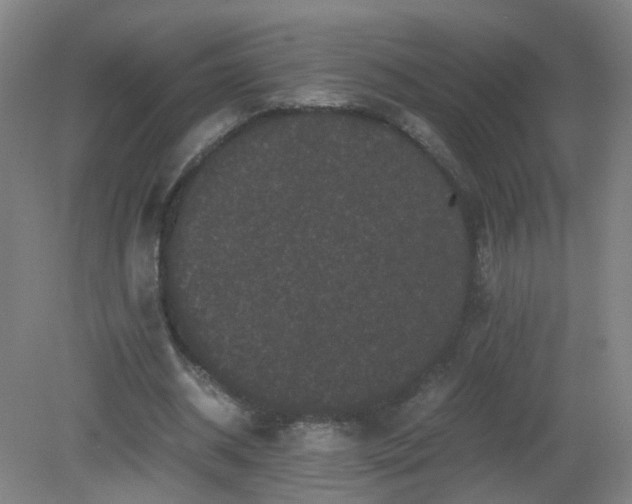 X0000081330534200701181957
