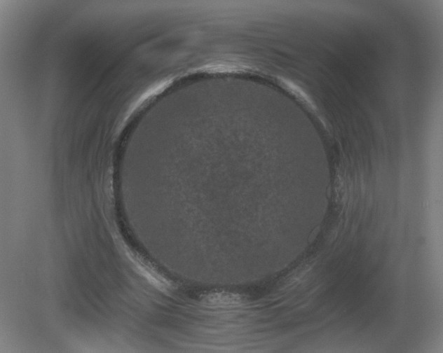 X0000081330535200701181957