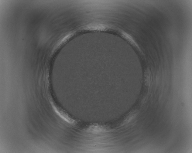 X0000081330538200701181957