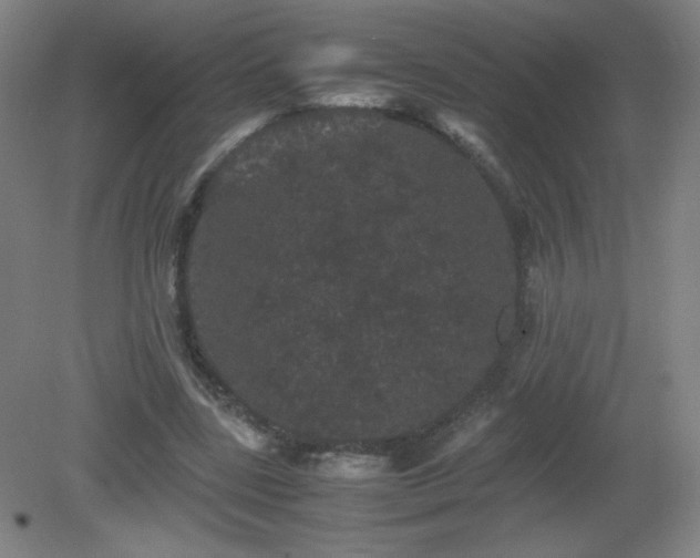 X0000081330539200701181957