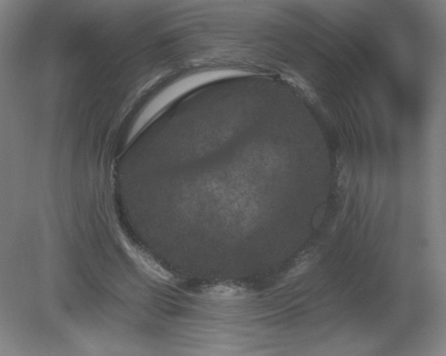 X0000081330542200701181957