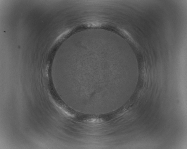 X0000081330543200701181957
