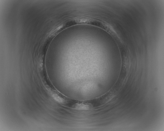 X0000081330545200701181957