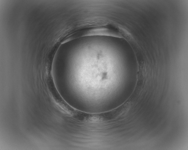 X0000081330546200701181957