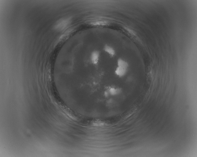 X0000081330547200701181957