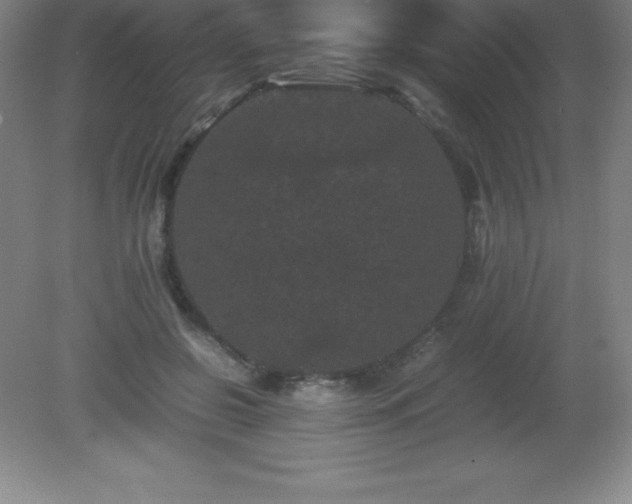 X0000081330550200701181957