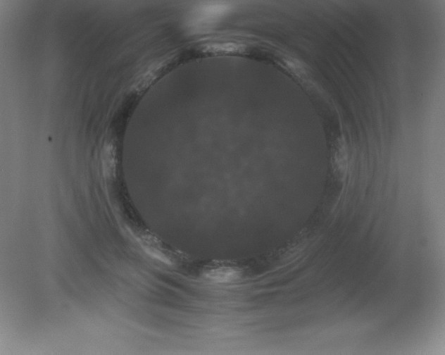X0000081330551200701181957