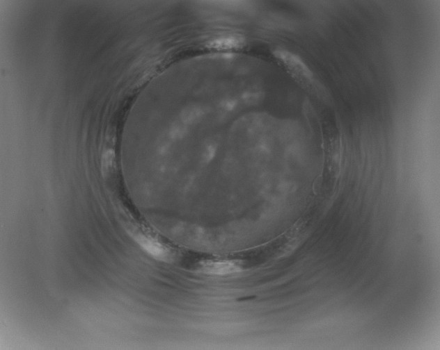 X0000081330553200701181957