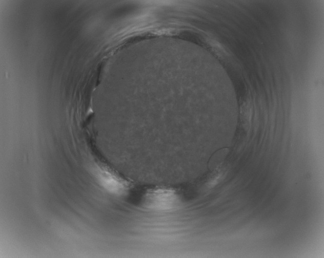 X0000081330554200701181957