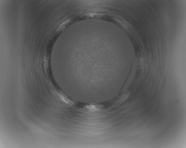 X0000081330558200701181957