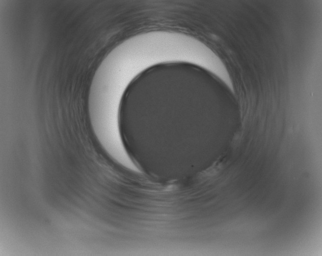 X0000081330559200701181957