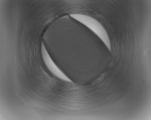 X0000081330560200701181957
