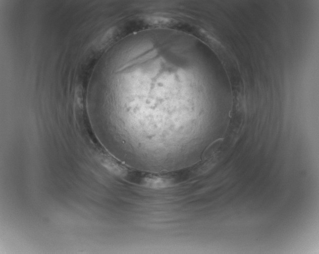 X0000081330561200701181957