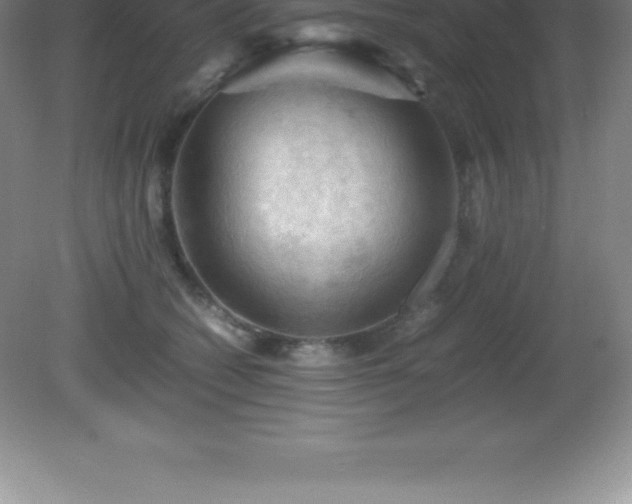 X0000081330562200701181957
