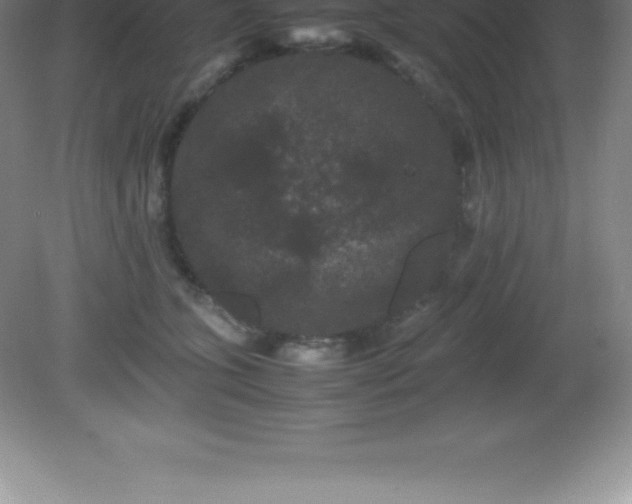 X0000081330563200701181957