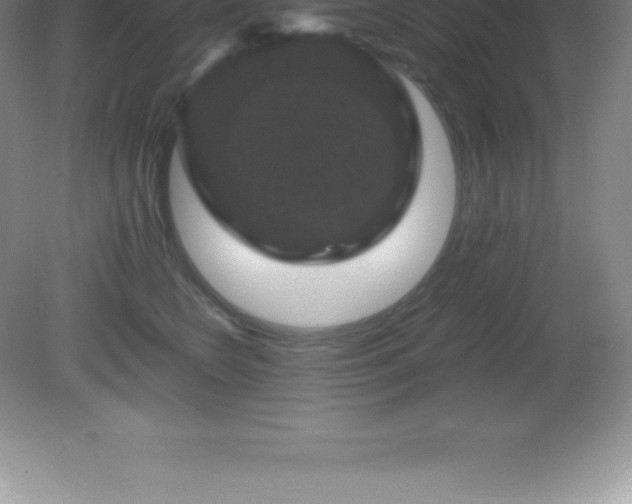 X0000081330566200701181957