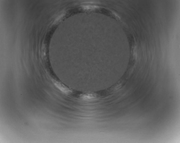 X0000081330567200701181957