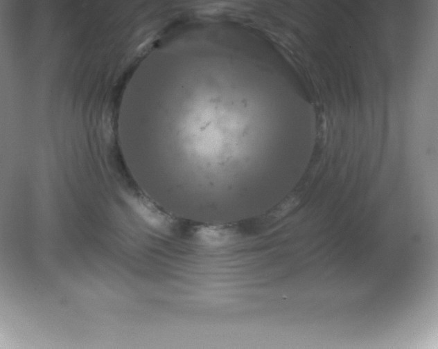 X0000081330568200701181957
