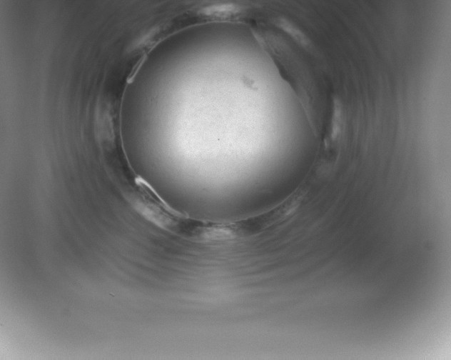X0000081330572200701181957