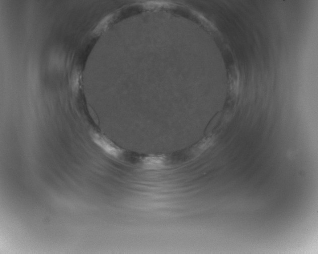 X0000081330574200701181957