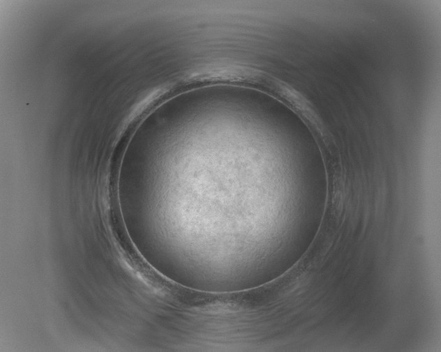 X0000081330578200701181957