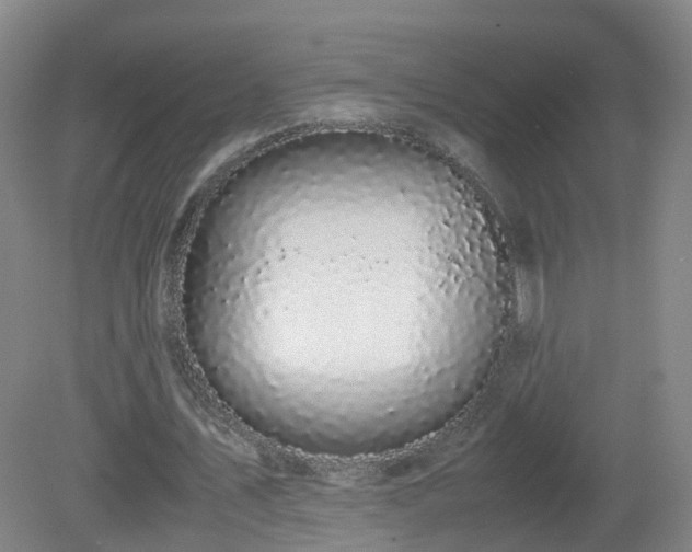 X0000081330579200701181957