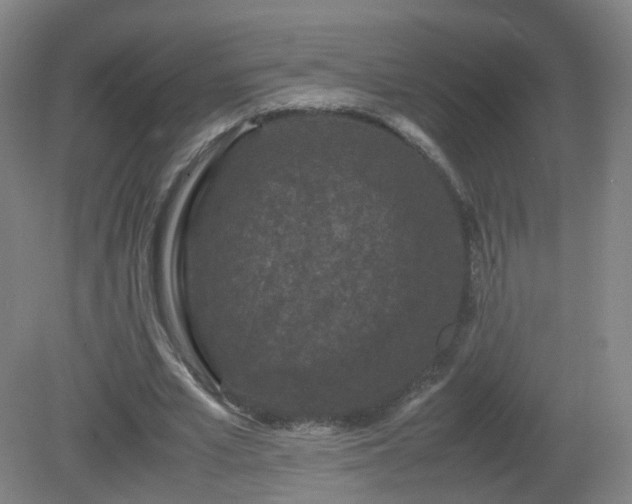 X0000081330581200701181957