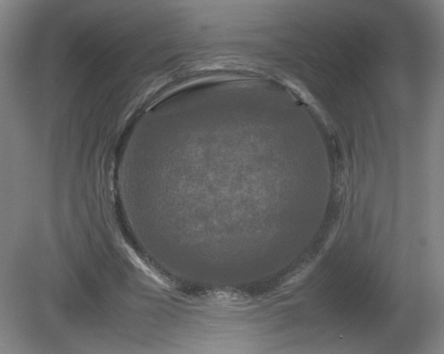 X0000081330585200701181956