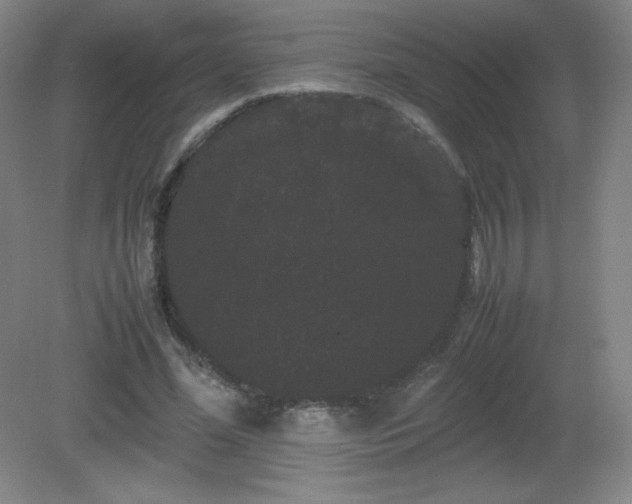X0000081330588200701181956