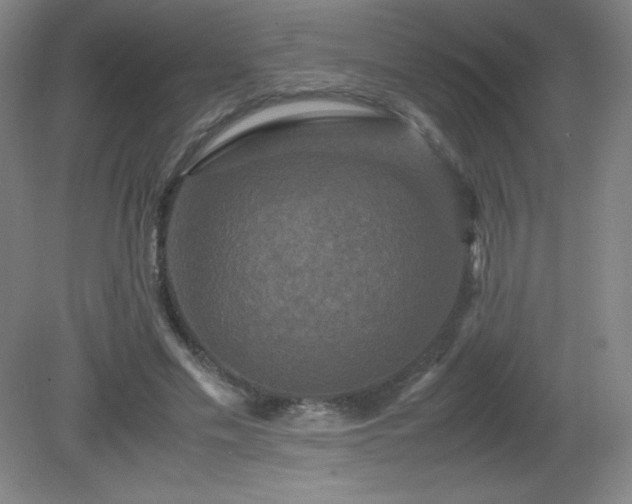 X0000081330589200701181956