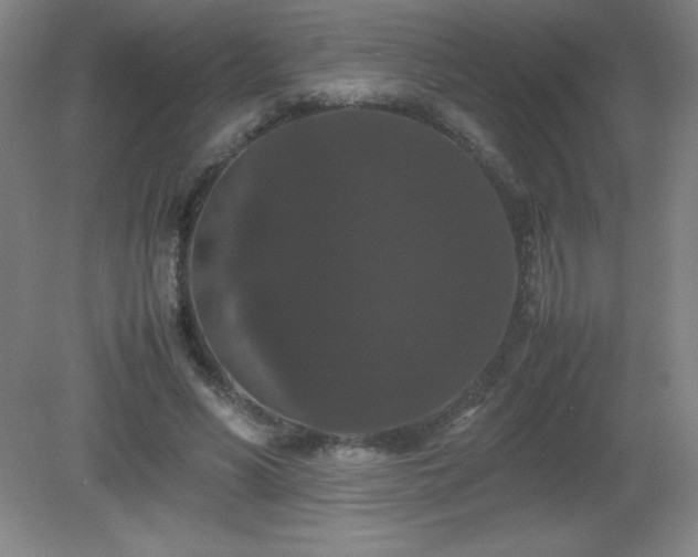 X0000081330590200701181956