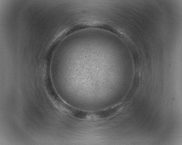 X0000081330591200701181956