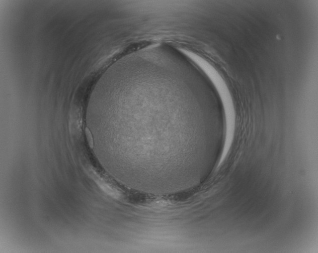 X0000081330593200701181956