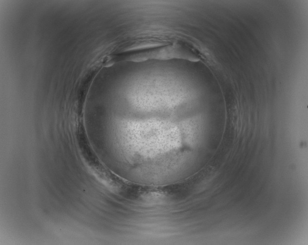 X0000081330594200701181956