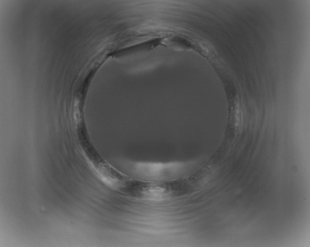 X0000081330598200701181956