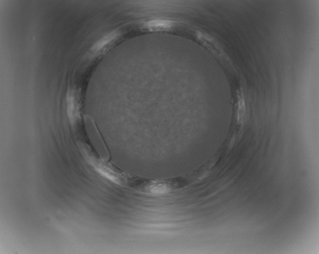 X0000081330604200701181956