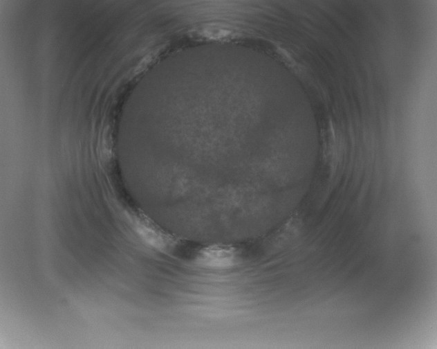 X0000081330606200701181956