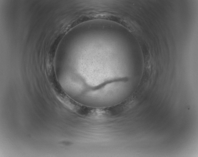 X0000081330607200701181956
