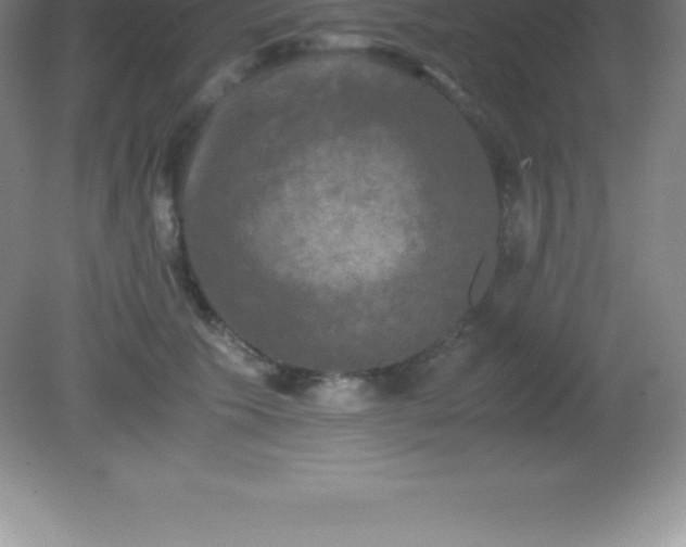 X0000081330609200701181956