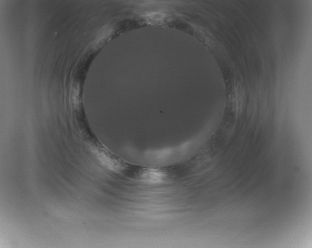 X0000081330610200701181956