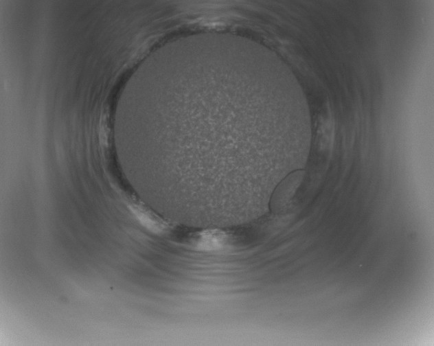 X0000081330612200701181956