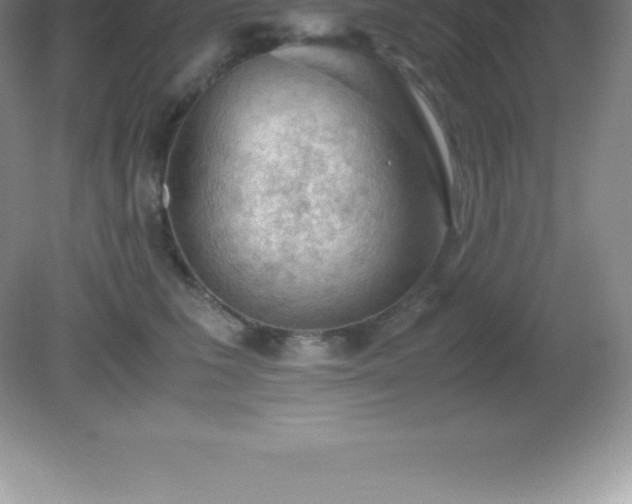 X0000081330613200701181956