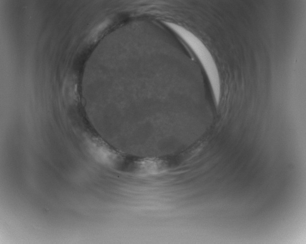 X0000081330615200701181956