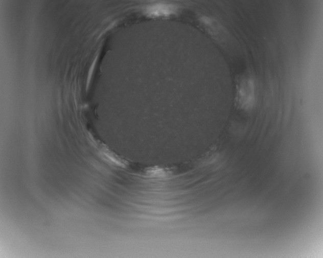 X0000081330616200701181956