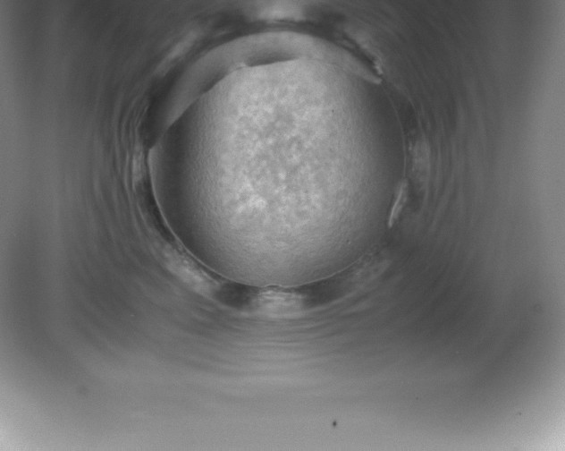 X0000081330617200701181956