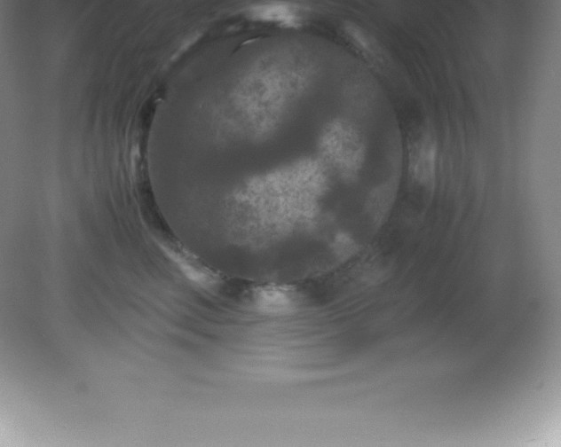 X0000081330618200701181956