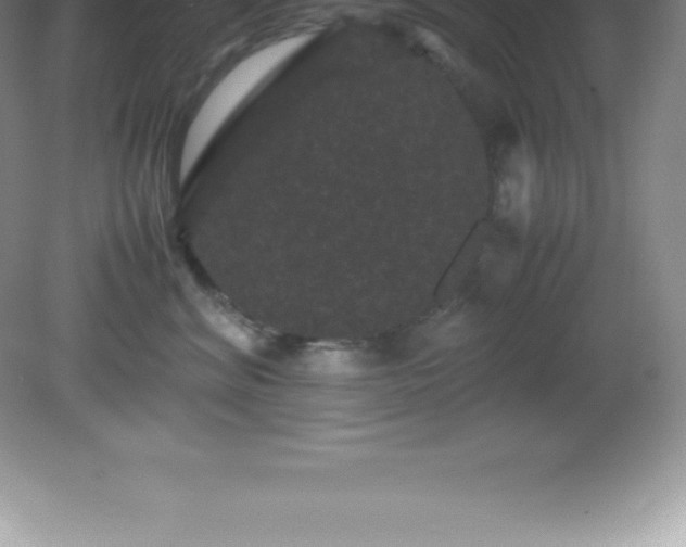 X0000081330620200701181956