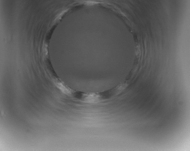 X0000081330621200701181956